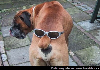 LOL :D